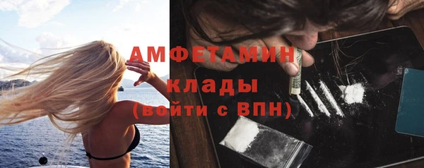 apvp Гатчина