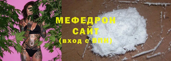apvp Гатчина
