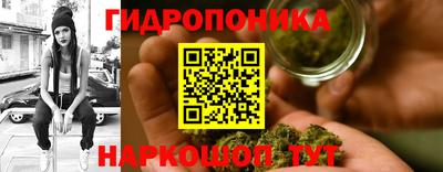 стафф Будённовск