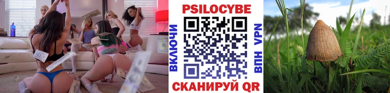 Псилоцибиновые грибы Psilocybe  купить наркотик  Ейск 